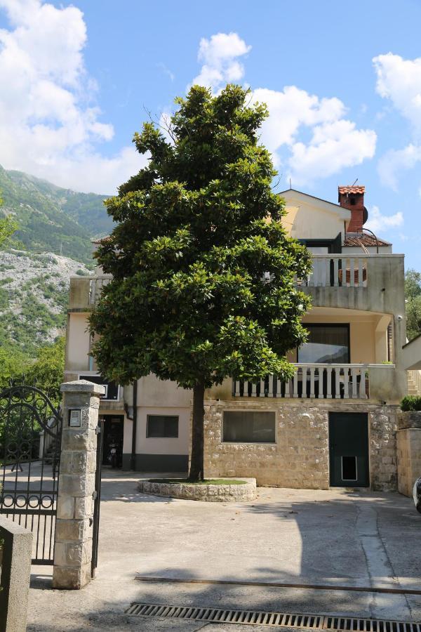 Apartmani Dijana 2 Kotor Exteriör bild