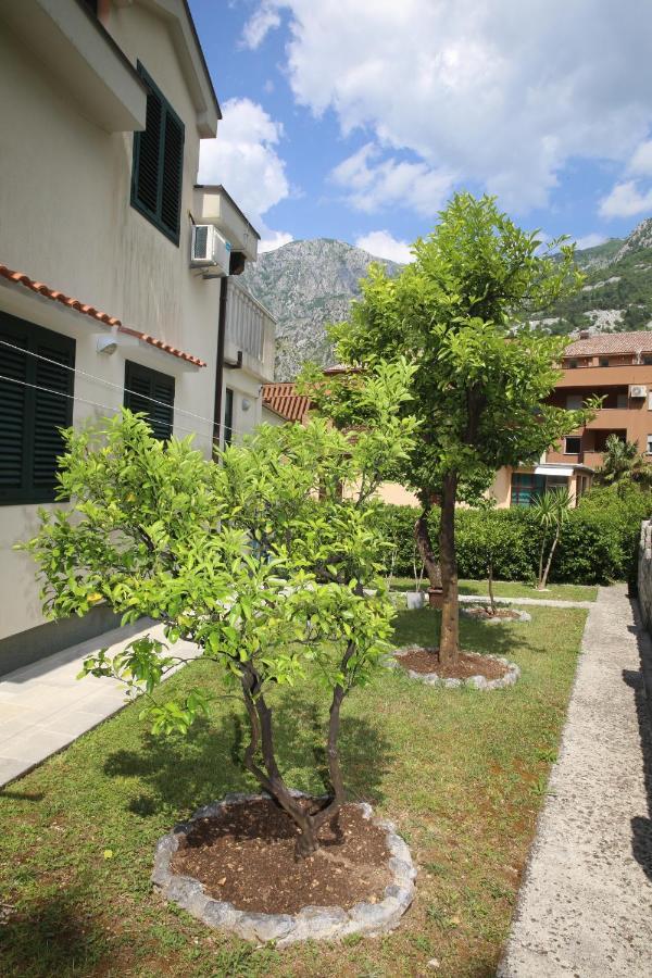 Apartmani Dijana 2 Kotor Exteriör bild